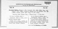 Image Associated With the Occurence